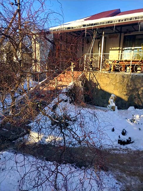 Купель с подогревом Барановичи Дом торжеств Мышанка